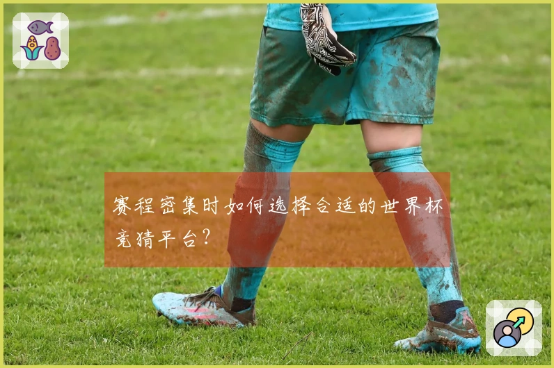 赛程密集时如何选择合适的世界杯竞猜平台？