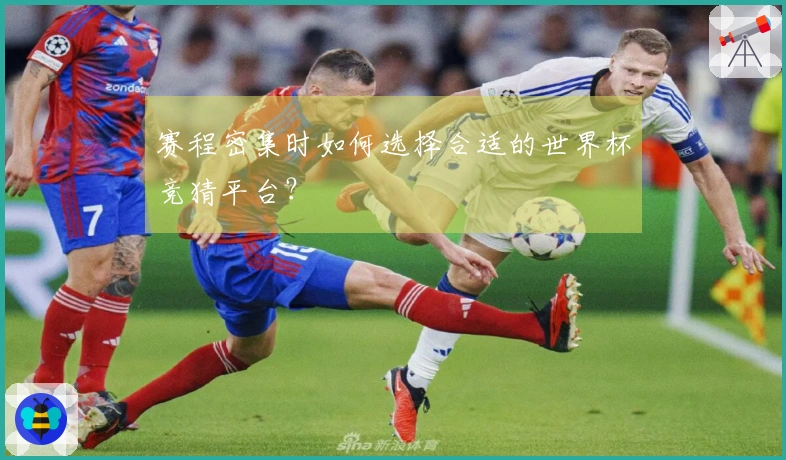 赛程密集时如何选择合适的世界杯竞猜平台？