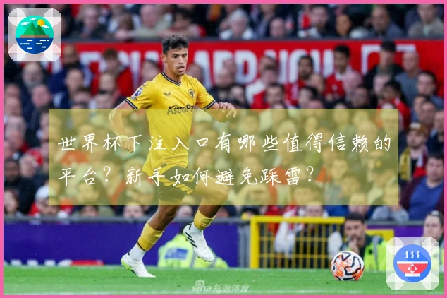 世界杯下注入口有哪些值得信赖的平台？新手如何避免踩雷？