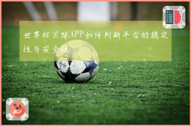 世界杯买球APP如何判断平台的稳定性与安全性