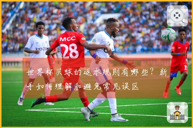 世界杯买球的返水规则有哪些？新手如何理解和避免常见误区