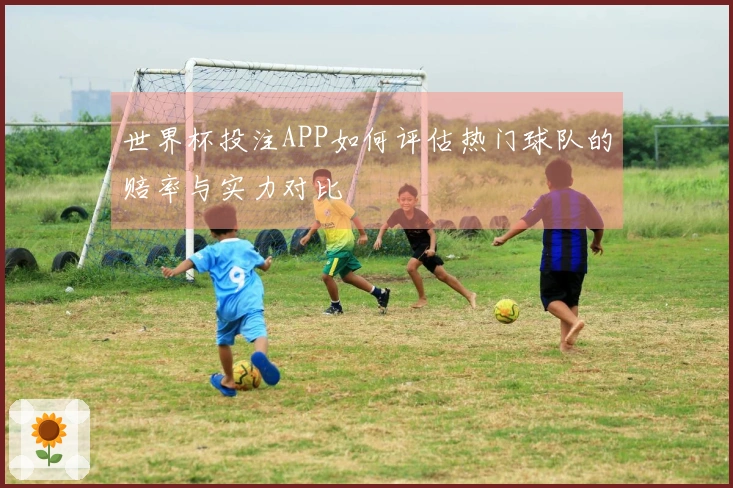 世界杯投注APP如何评估热门球队的赔率与实力对比