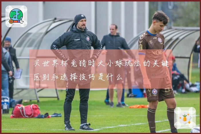 买世界杯竞猜时大小球玩法的关键区别和选择技巧是什么
