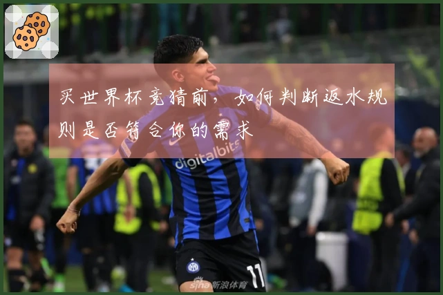 买世界杯竞猜前，如何判断返水规则是否符合你的需求