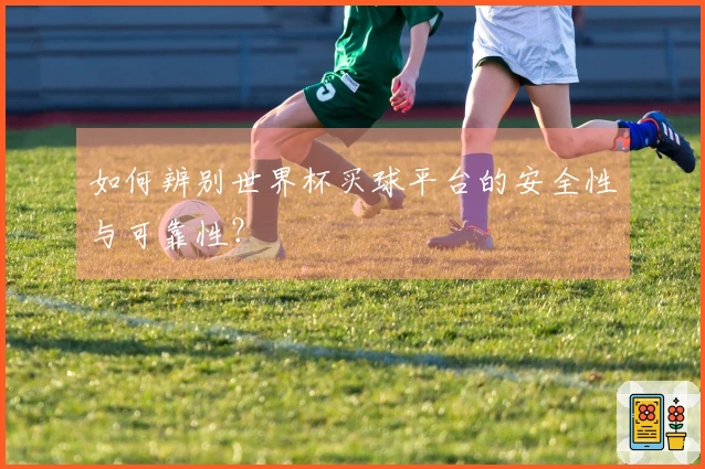 如何辨别世界杯买球平台的安全性与可靠性？