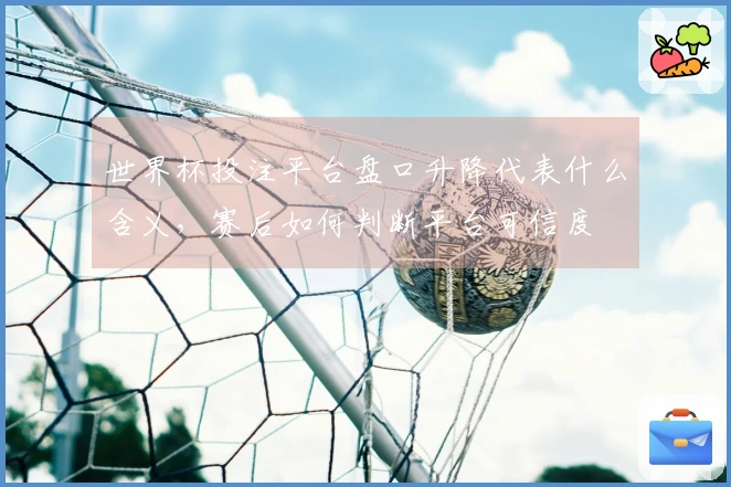 世界杯投注平台盘口升降代表什么含义，赛后如何判断平台可信度