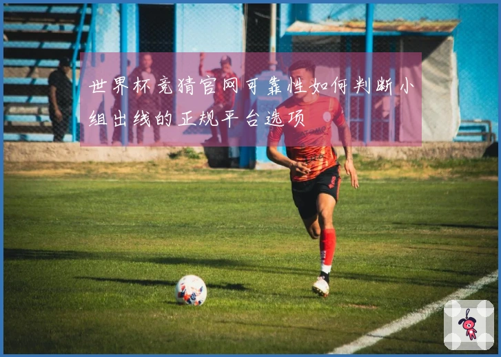 世界杯竞猜官网可靠性如何判断小组出线的正规平台选项