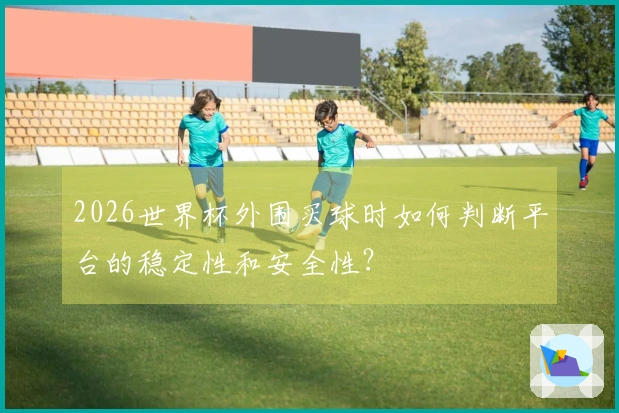 2026世界杯外围买球时如何判断平台的稳定性和安全性？