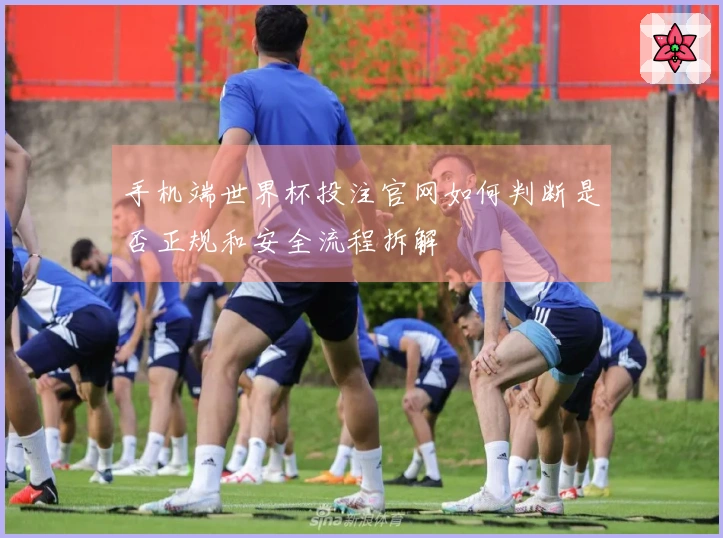 手机端世界杯投注官网如何判断是否正规和安全流程拆解