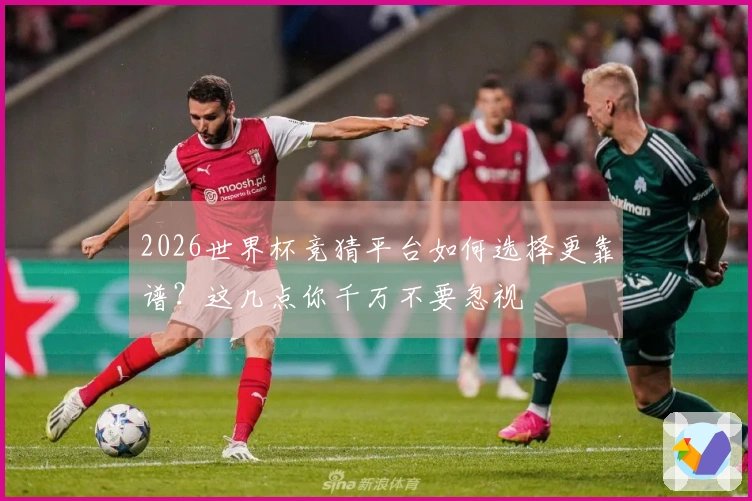 2026世界杯竞猜平台如何选择更靠谱？这几点你千万不要忽视