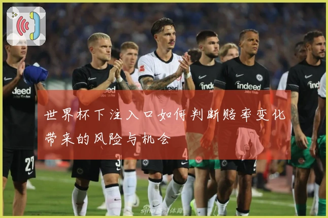 世界杯下注入口如何判断赔率变化带来的风险与机会