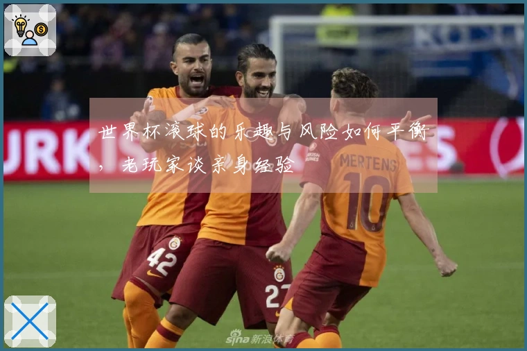 世界杯滚球的乐趣与风险如何平衡，老玩家谈亲身经验