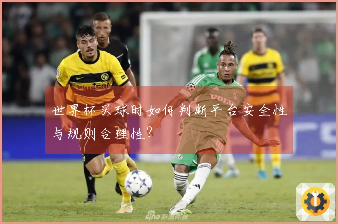世界杯买球时如何判断平台安全性与规则合理性？
