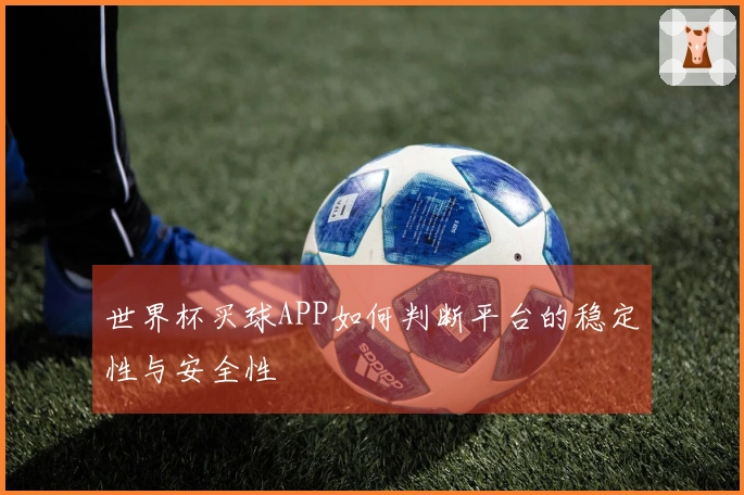 世界杯买球APP如何判断平台的稳定性与安全性