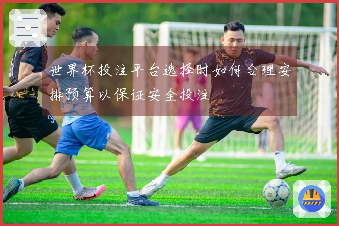 世界杯投注平台选择时如何合理安排预算以保证安全投注