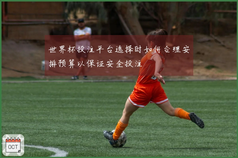 世界杯投注平台选择时如何合理安排预算以保证安全投注
