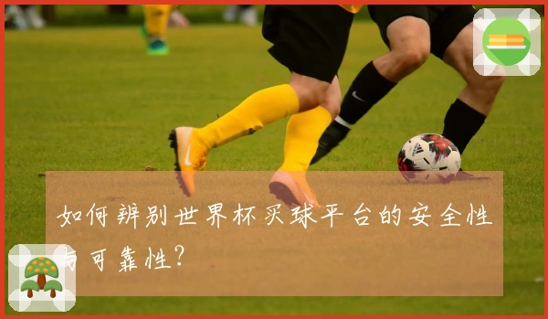 如何辨别世界杯买球平台的安全性与可靠性？