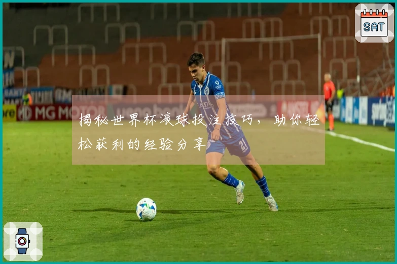 揭秘世界杯滚球投注技巧，助你轻松获利的经验分享