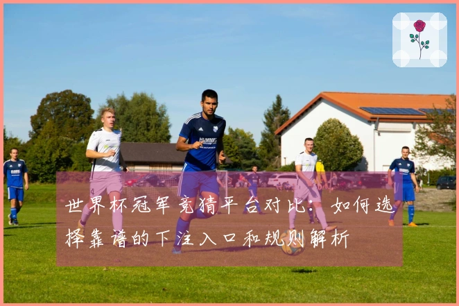 世界杯冠军竞猜平台对比：如何选择靠谱的下注入口和规则解析