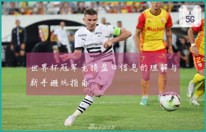 世界杯冠军竞猜盘口信息的理解与新手避坑指南