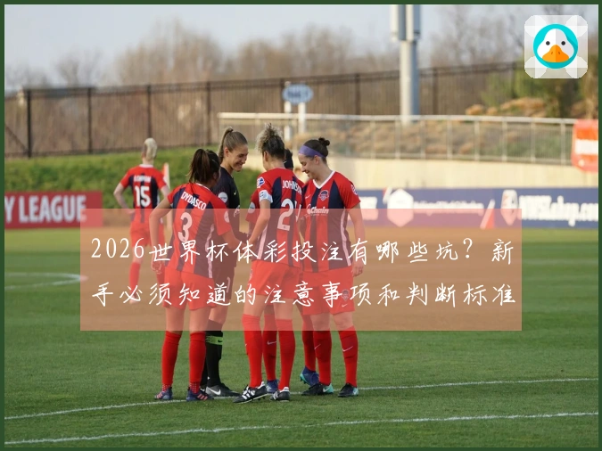 2026世界杯体彩投注有哪些坑？新手必须知道的注意事项和判断标准