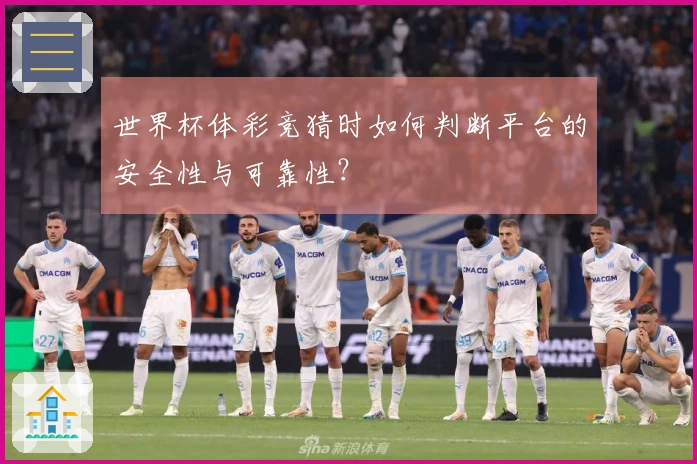 世界杯体彩竞猜时如何判断平台的安全性与可靠性？