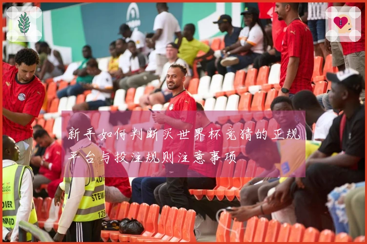 新手如何判断买世界杯竞猜的正规平台与投注规则注意事项