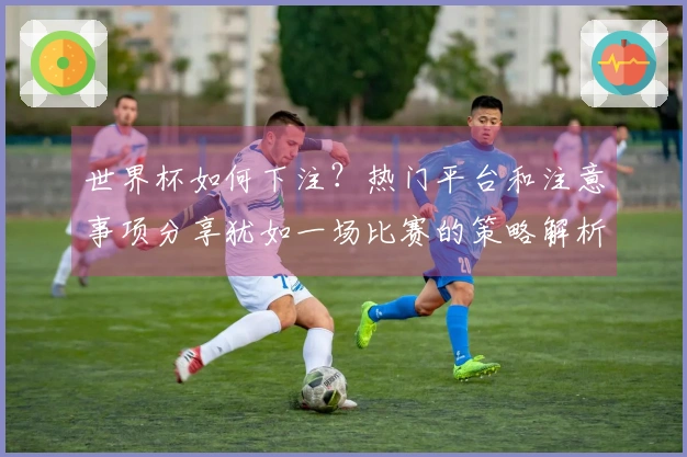 世界杯如何下注？热门平台和注意事项分享犹如一场比赛的策略解析