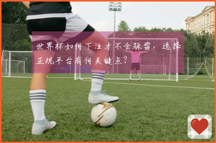 世界杯如何下注才不会踩雷，选择正规平台有何关键点？