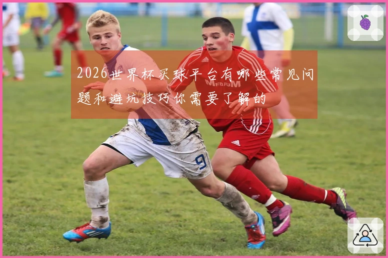 2026世界杯买球平台有哪些常见问题和避坑技巧你需要了解的