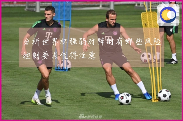 分析世界杯强弱对阵时有哪些风险控制要点值得注意