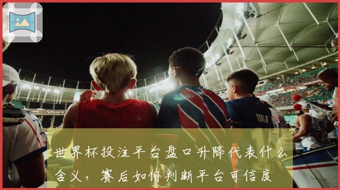 世界杯投注平台盘口升降代表什么含义，赛后如何判断平台可信度
